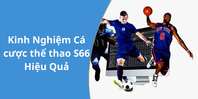 Kinh Nghiệm Cá cược thể thao S66 Hiệu Quả