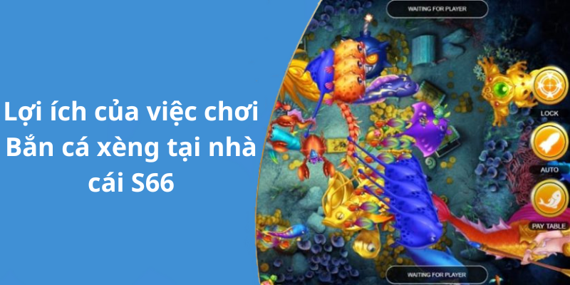 Lợi ích của việc chơi Bắn cá xèng tại nhà cái S66