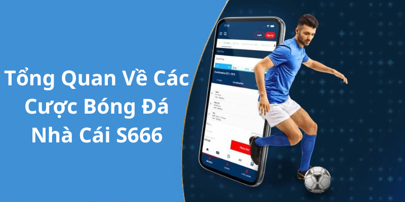 Tổng Quan Về Các Cược Bóng Đá Nhà Cái S666