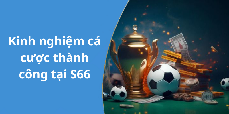 Kinh nghiệm cá cược thành công tại S66