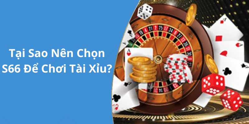 Tại Sao Nên Chọn S66 Để Chơi Tài Xỉu